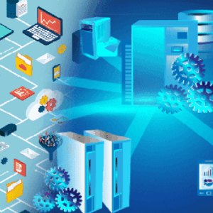 IT Management - Software and Databases
